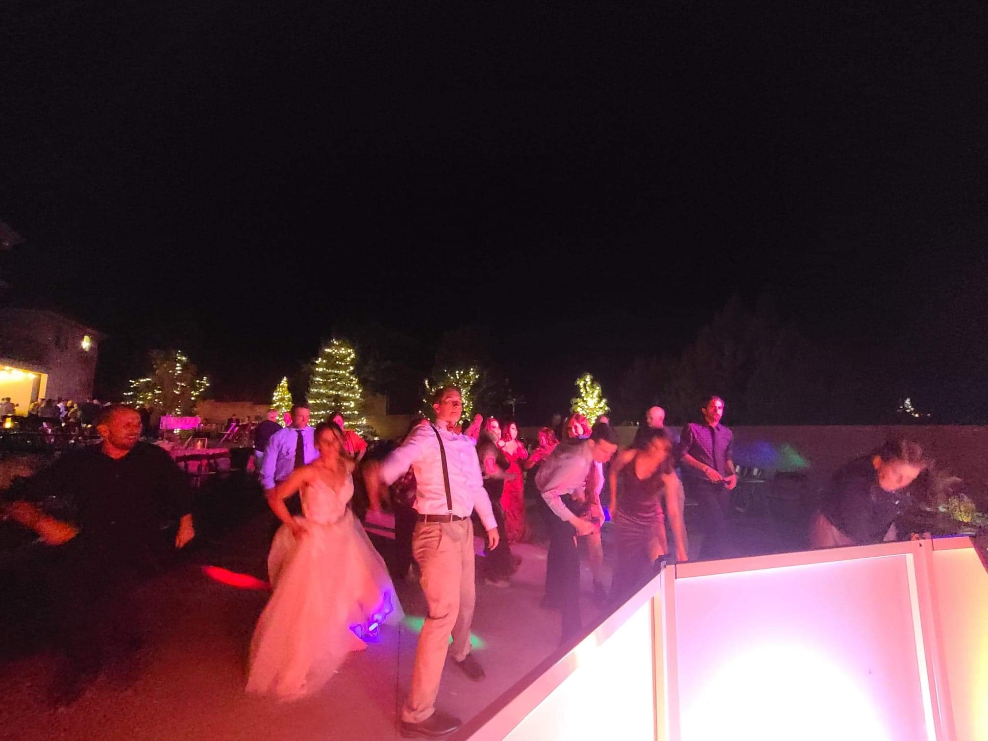 Utah wedding reception photo featuring DJ Blator entertainment